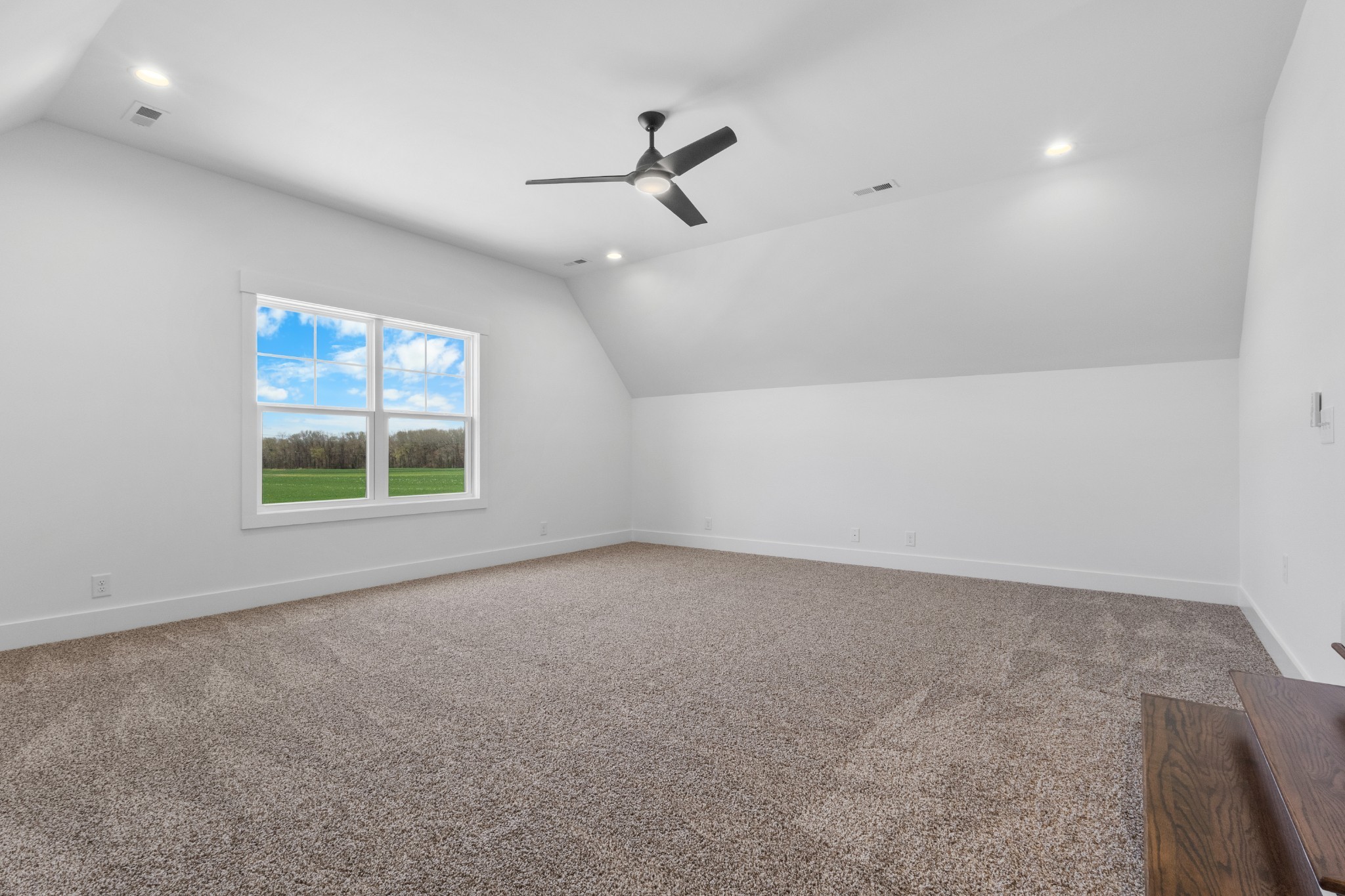 113 Aspen Pine Dr Property Photo 22