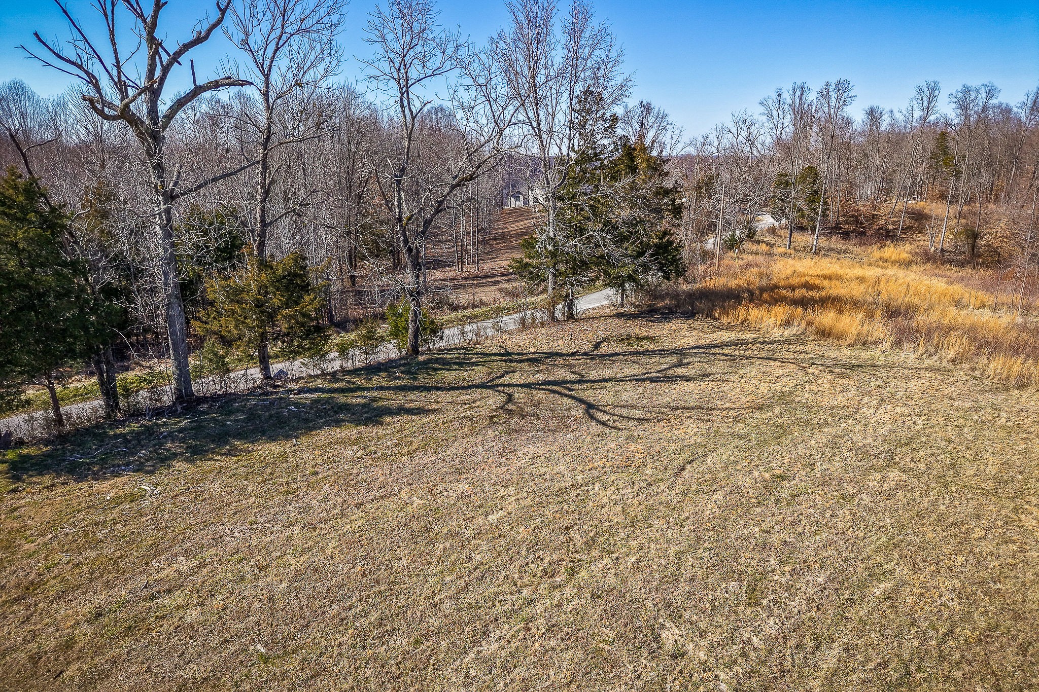 0 Backbone Road Property Photo 10
