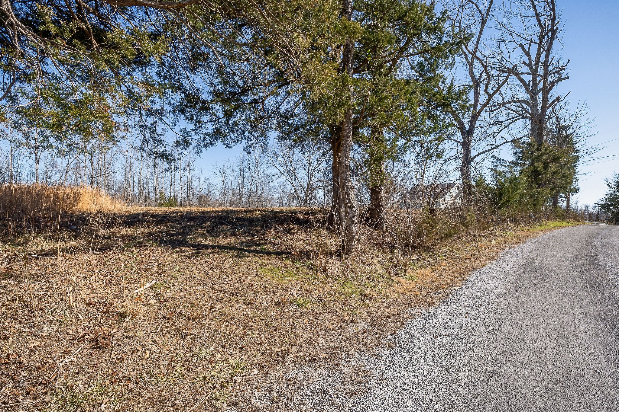0 Backbone Road Property Photo 11