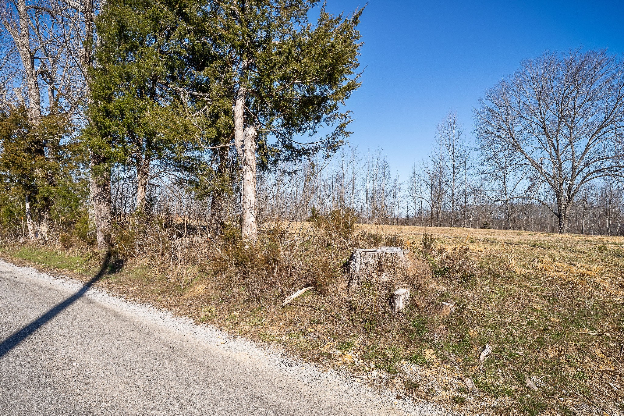 0 Backbone Road Property Photo 13