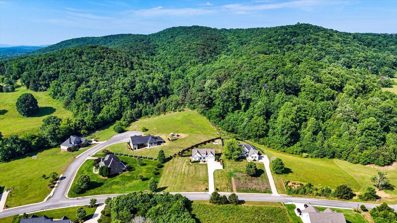 315 Windy Hill Drive Property Photo 42