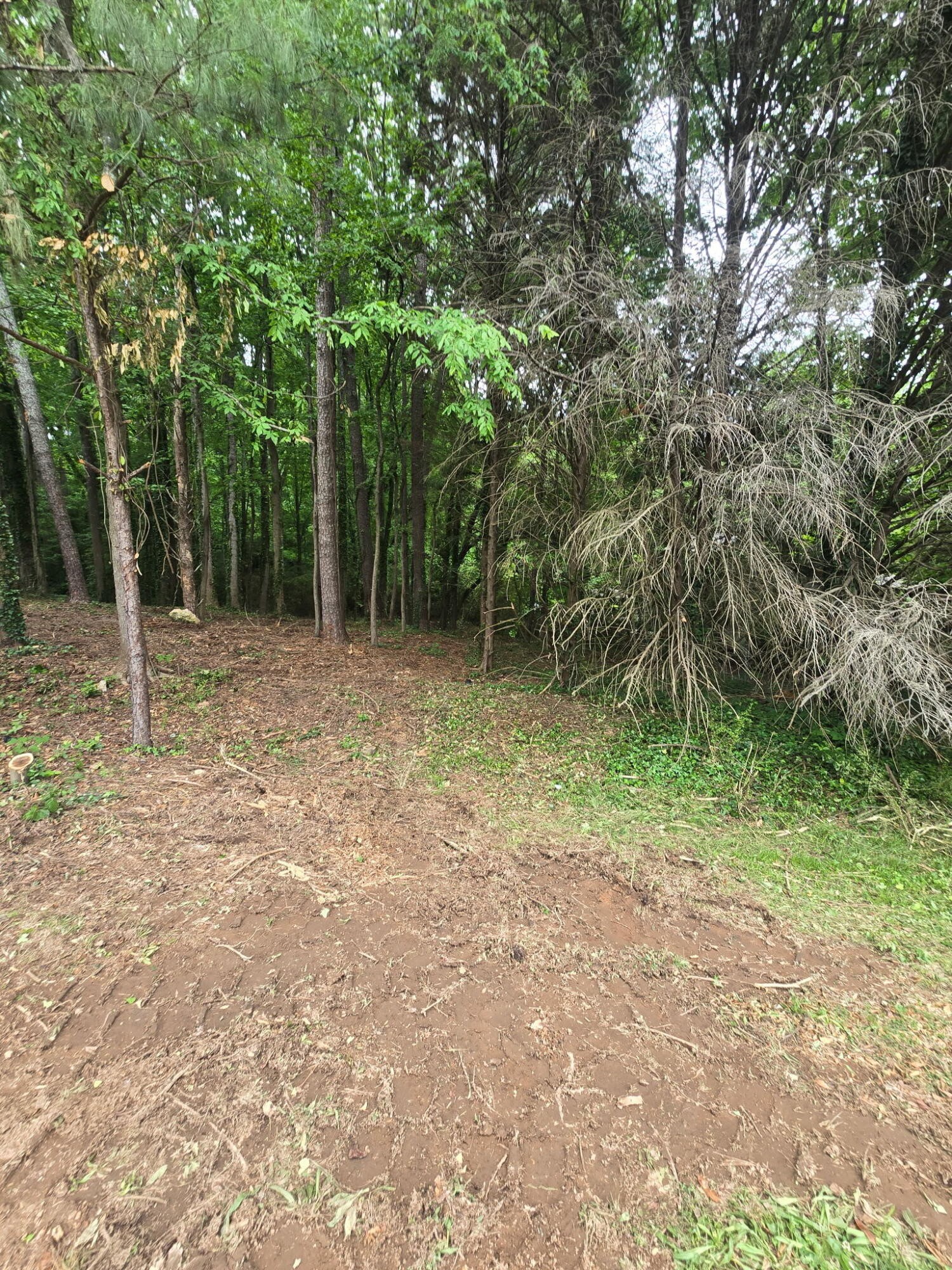 35 Ryman Ridge Road Property Photo 3