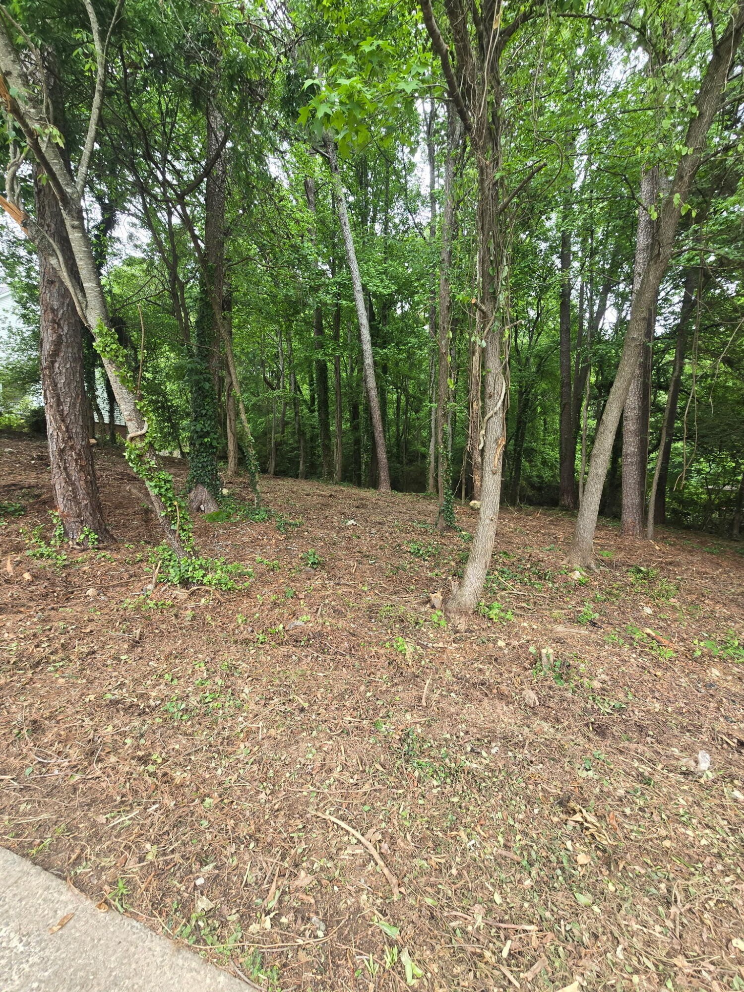 35 Ryman Ridge Road Property Photo 4