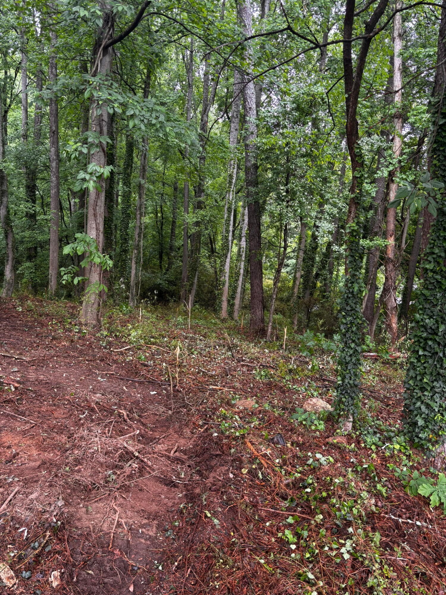 35 Ryman Ridge Road Property Photo 5