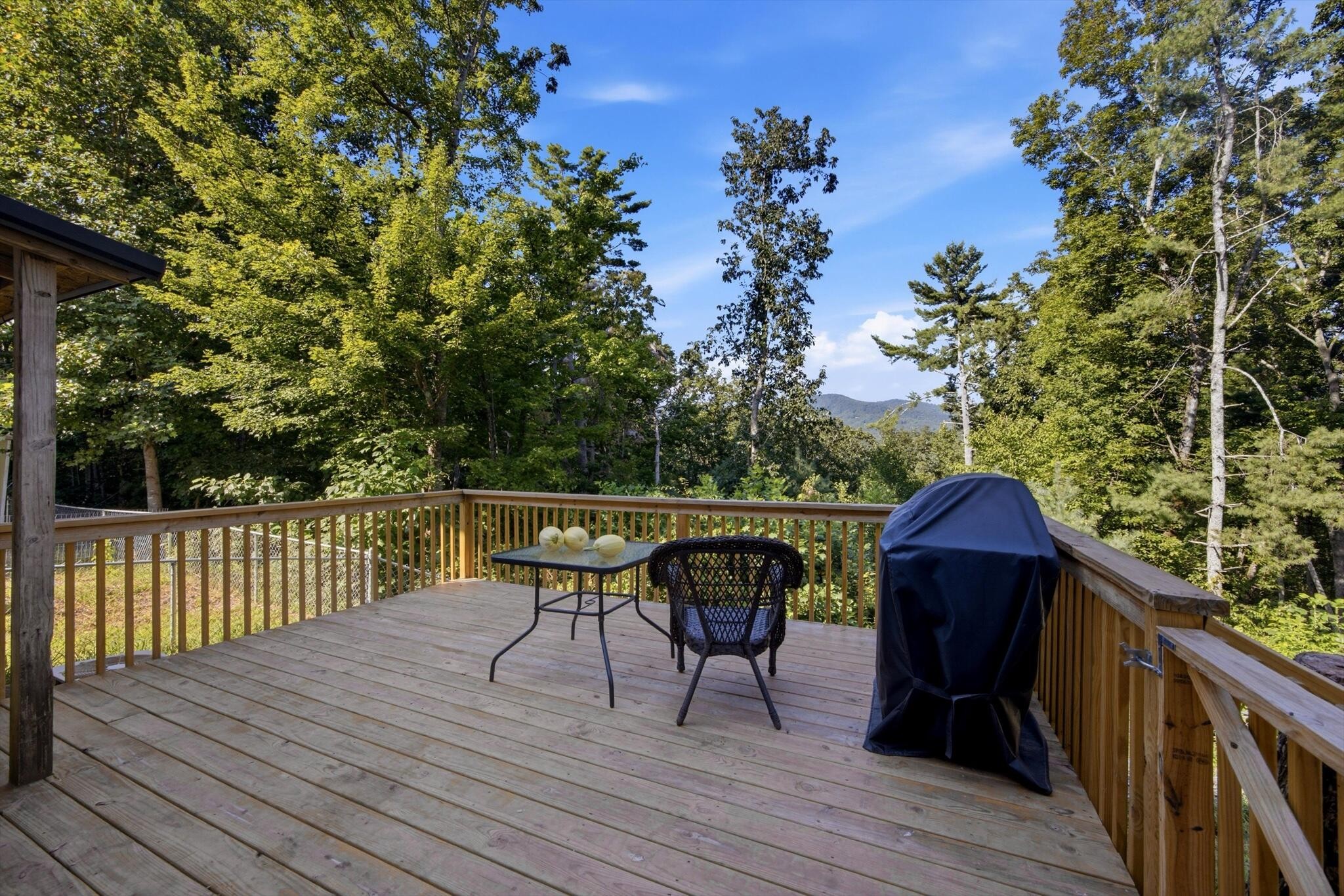 2704 Hwy 282 Property Photo 24