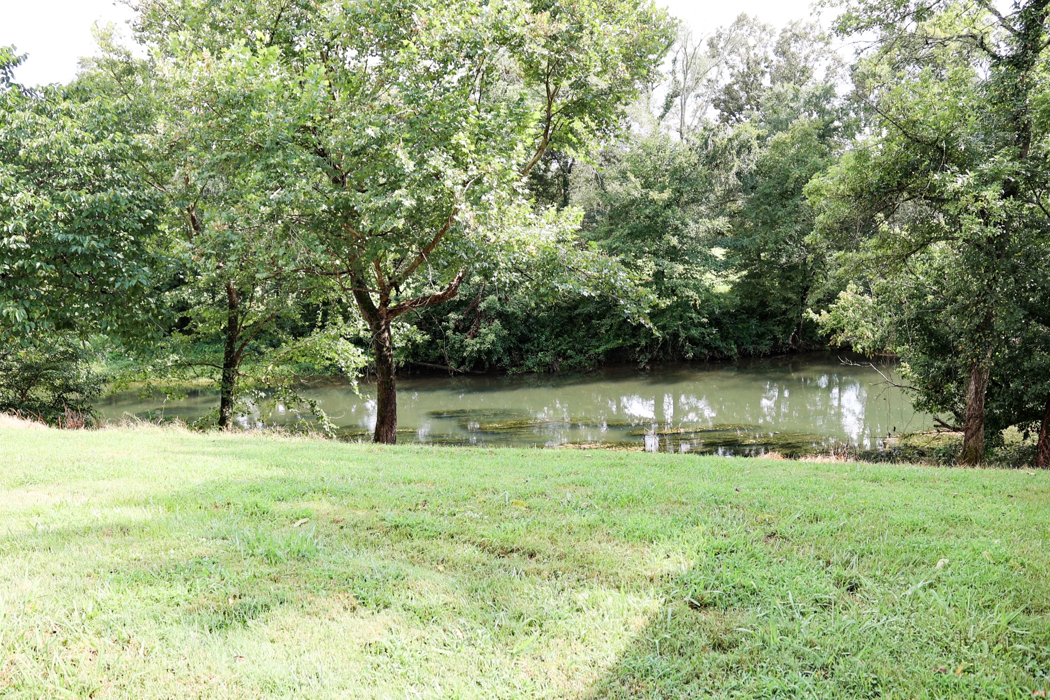 4693 Shelbyville Rd Property Photo 7