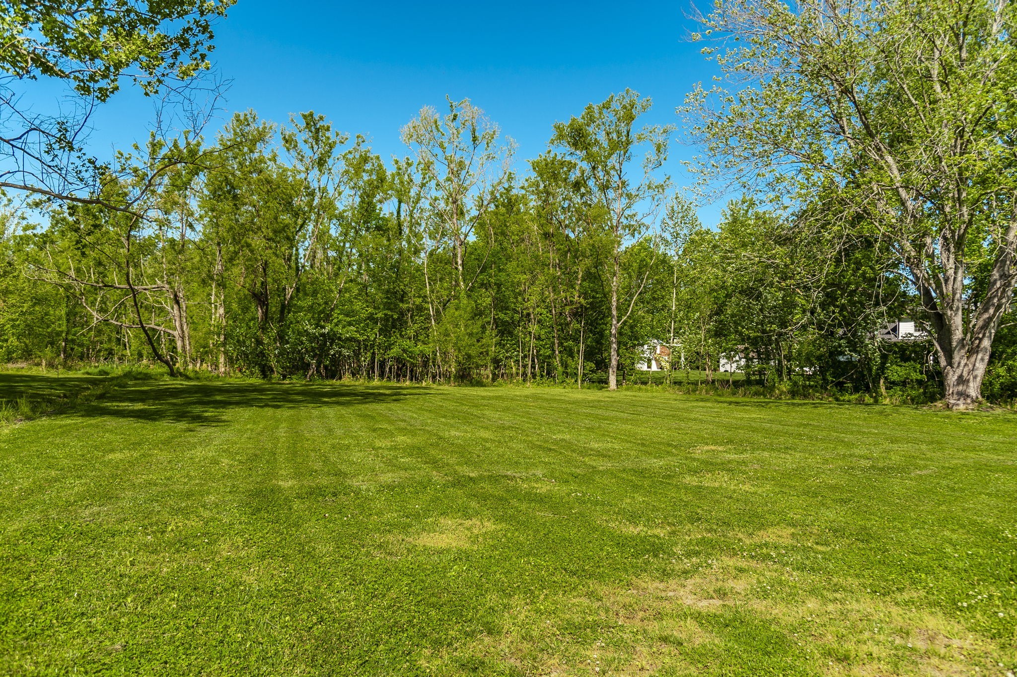 1305 Twin Springs Dr Property Photo 68