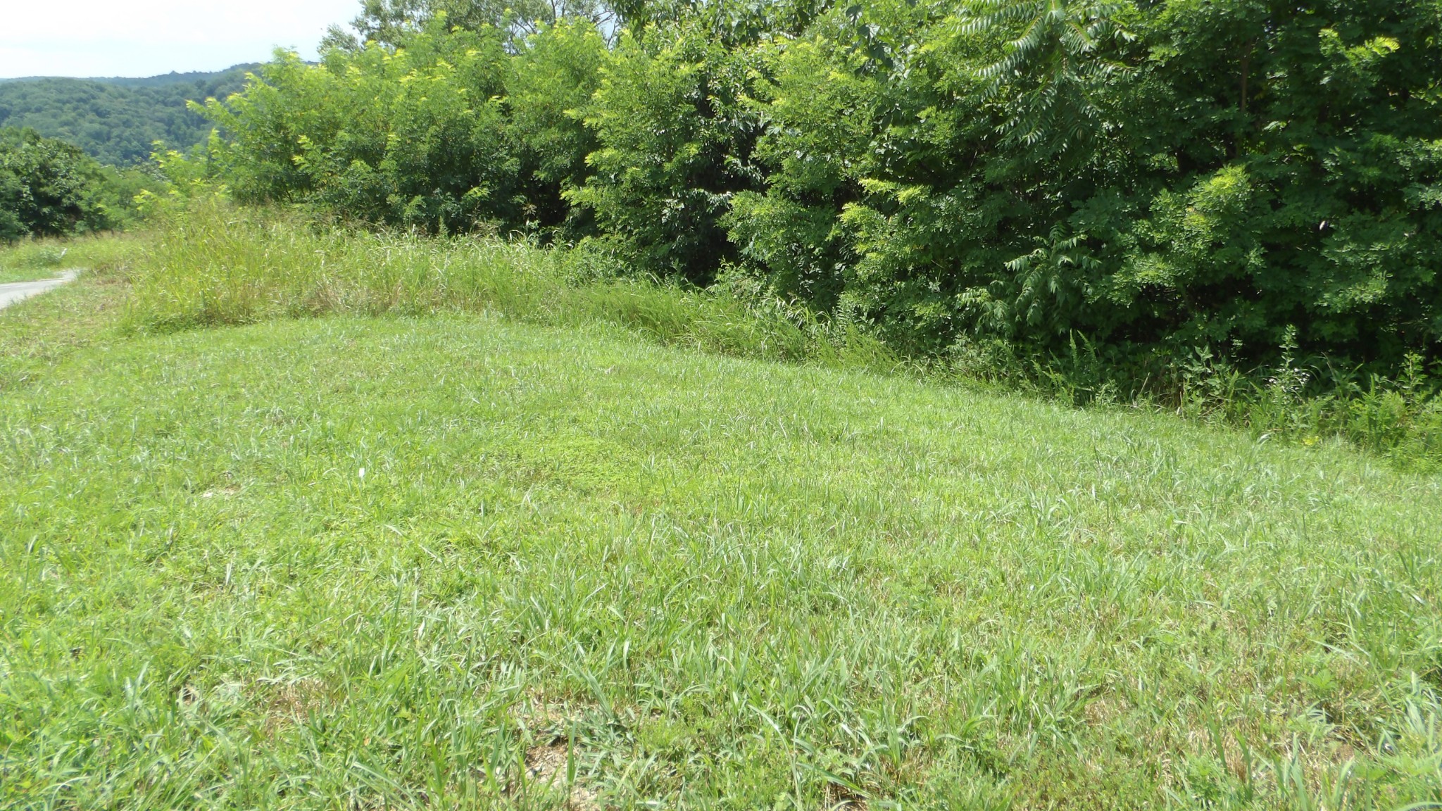 17 D Crappie Lane Property Photo 1