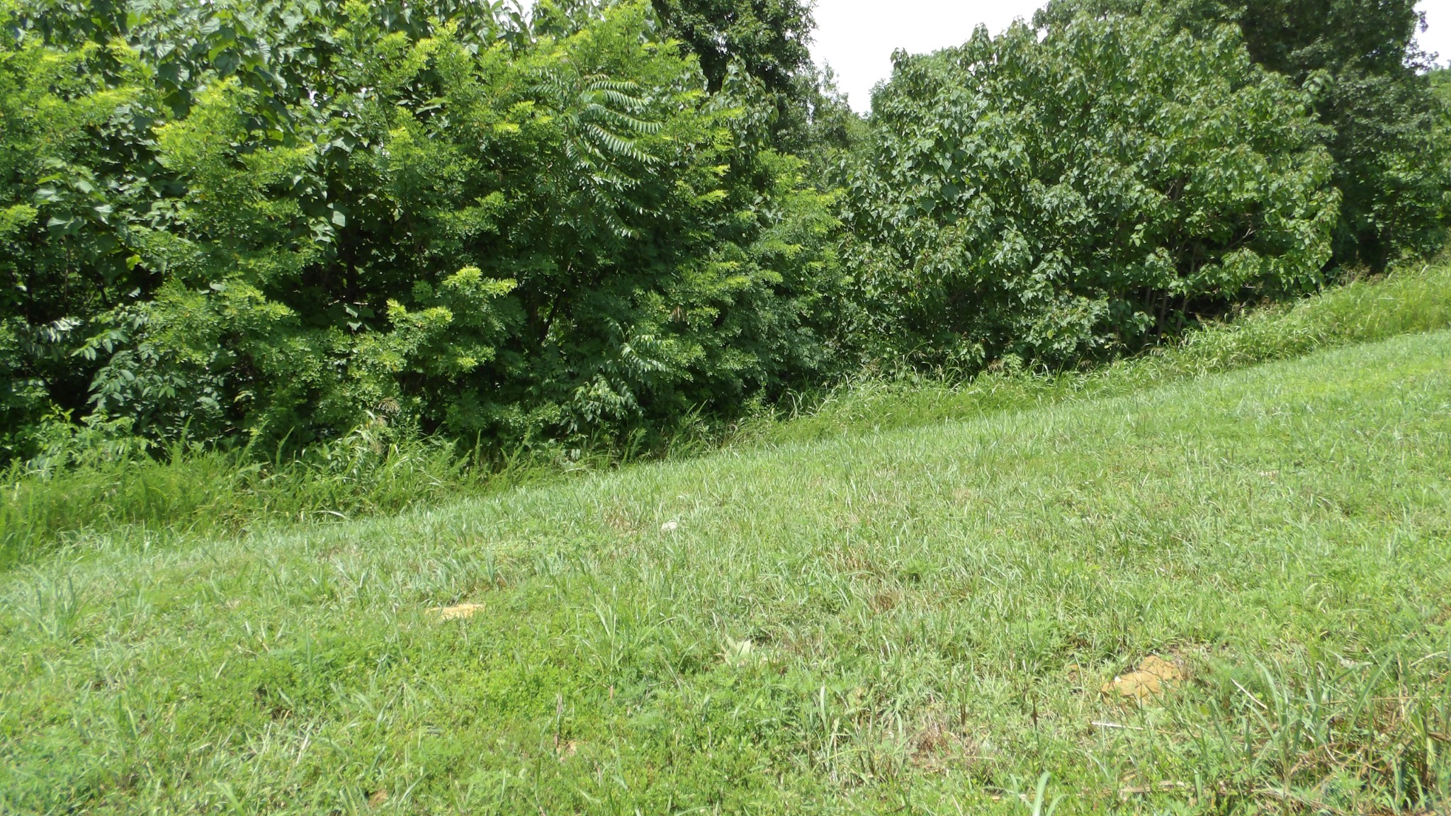 17 D Crappie Lane Property Photo 4