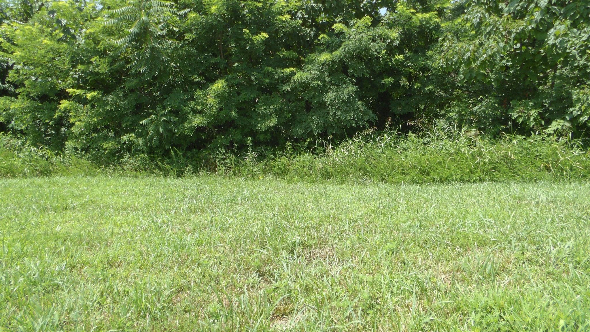 17 D Crappie Lane Property Photo 5