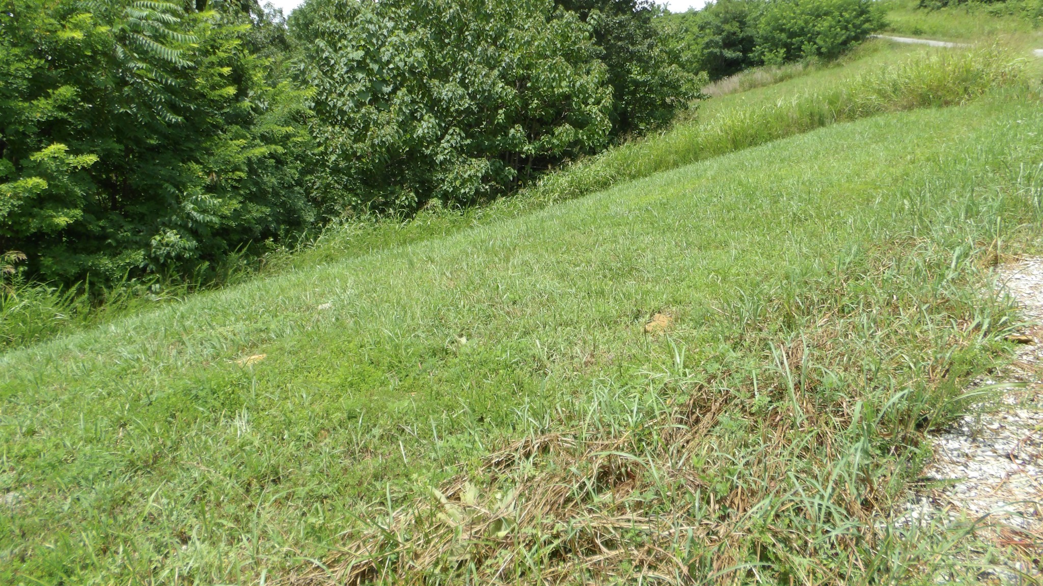 17 D Crappie Lane Property Photo 6