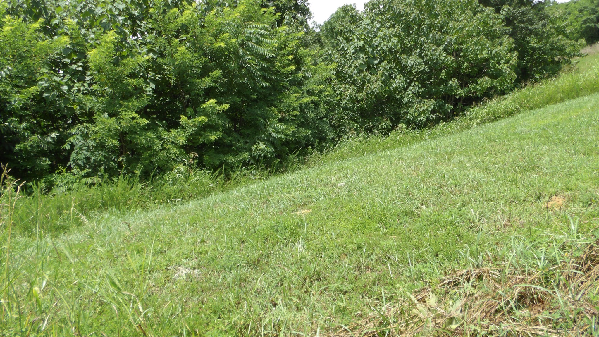17 D Crappie Lane Property Photo 7