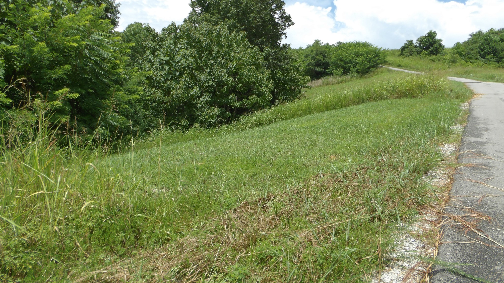 17 D Crappie Lane Property Photo 8