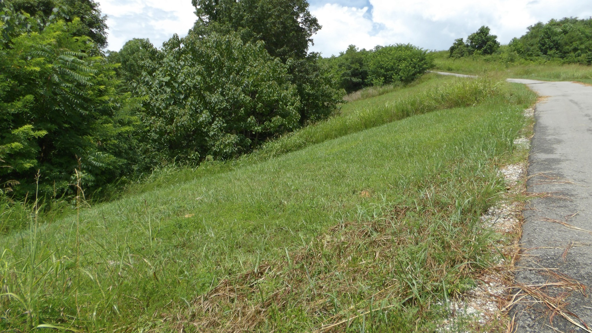 17 D Crappie Lane Property Photo 9