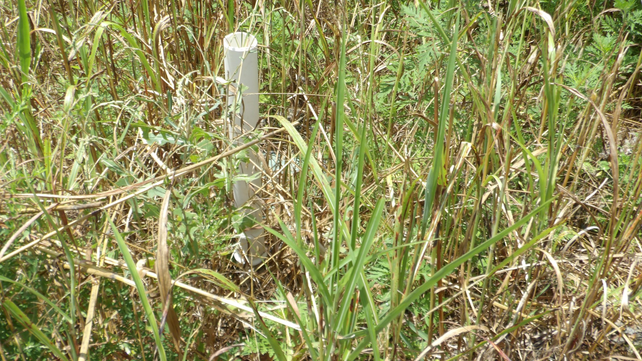 17 D Crappie Lane Property Photo 11