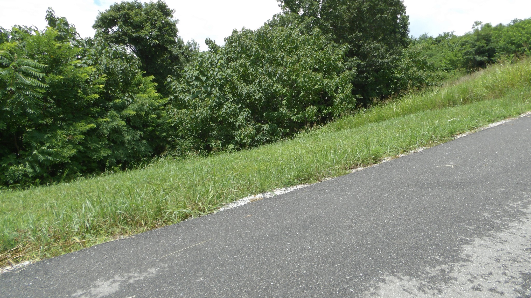 17 D Crappie Lane Property Photo 14