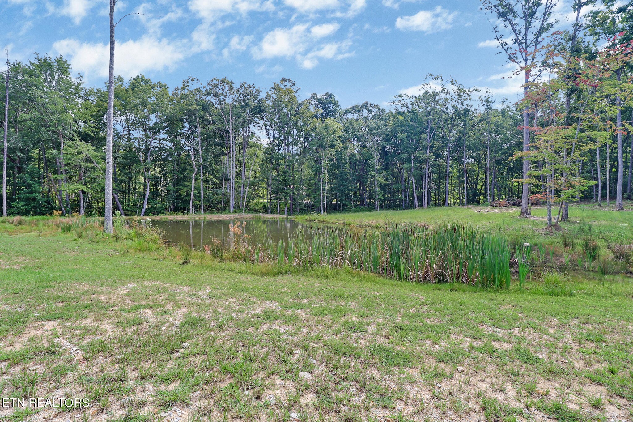 552 Robs Rd Property Photo 35