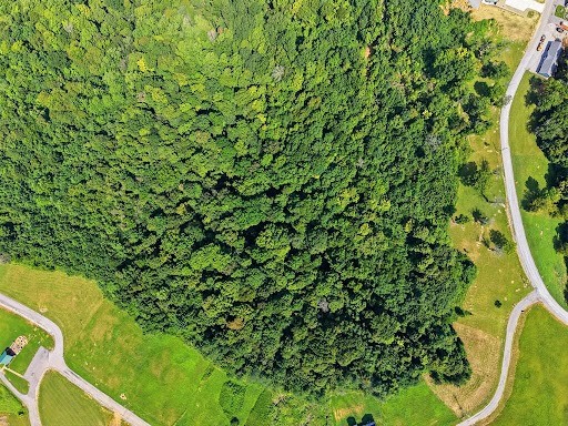 0c Swan Ridge Property Photo 10