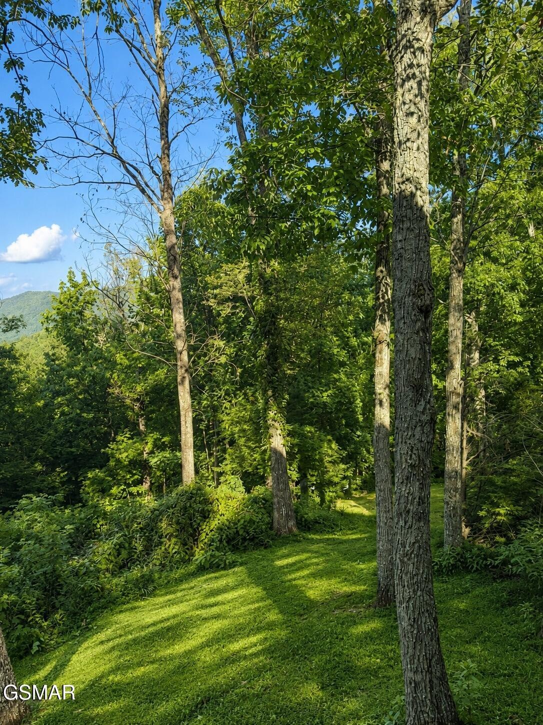 3085 Perry Circle Road Property Photo 29