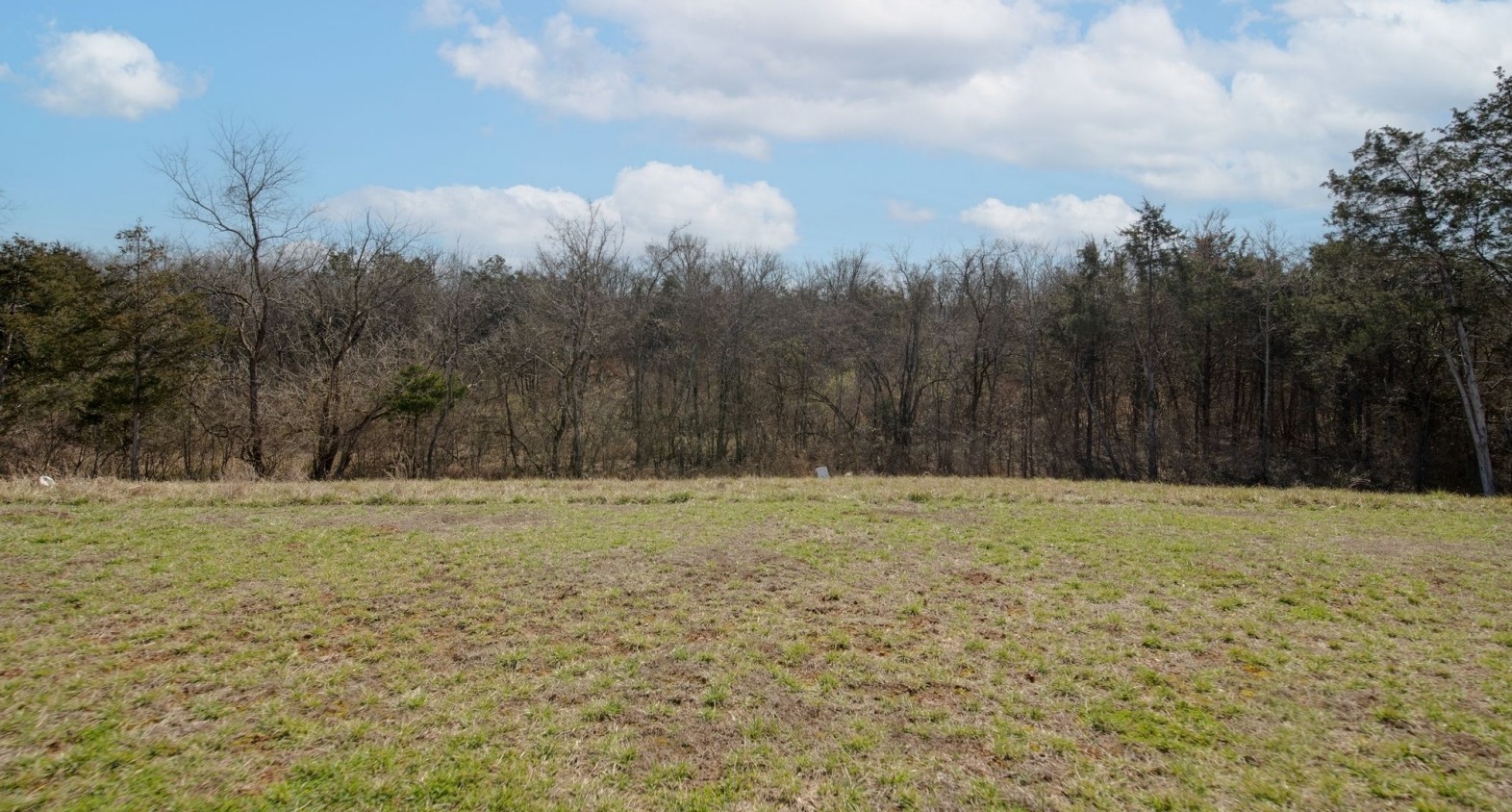 4165 Dolly Way Property Photo 19