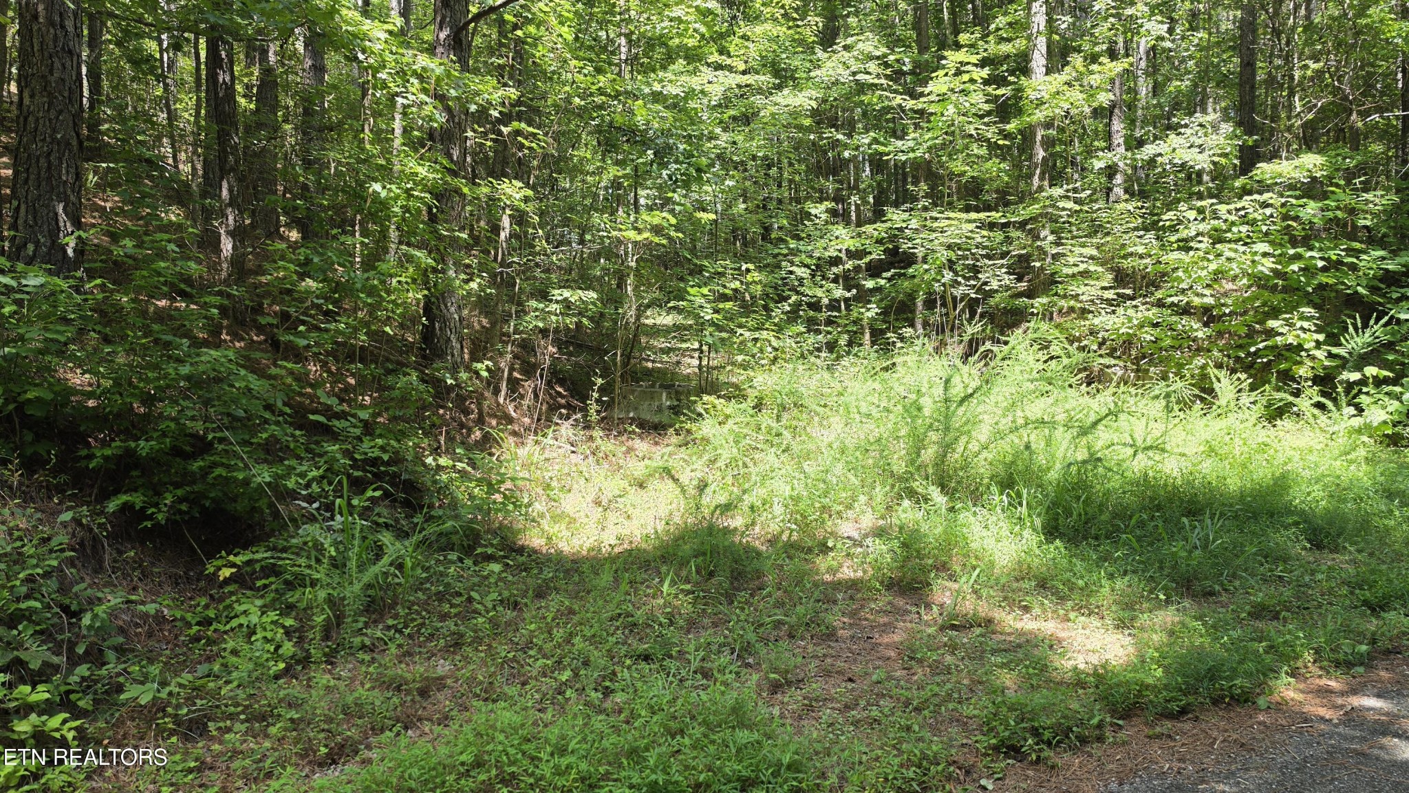 0 County Rd Property Photo 1