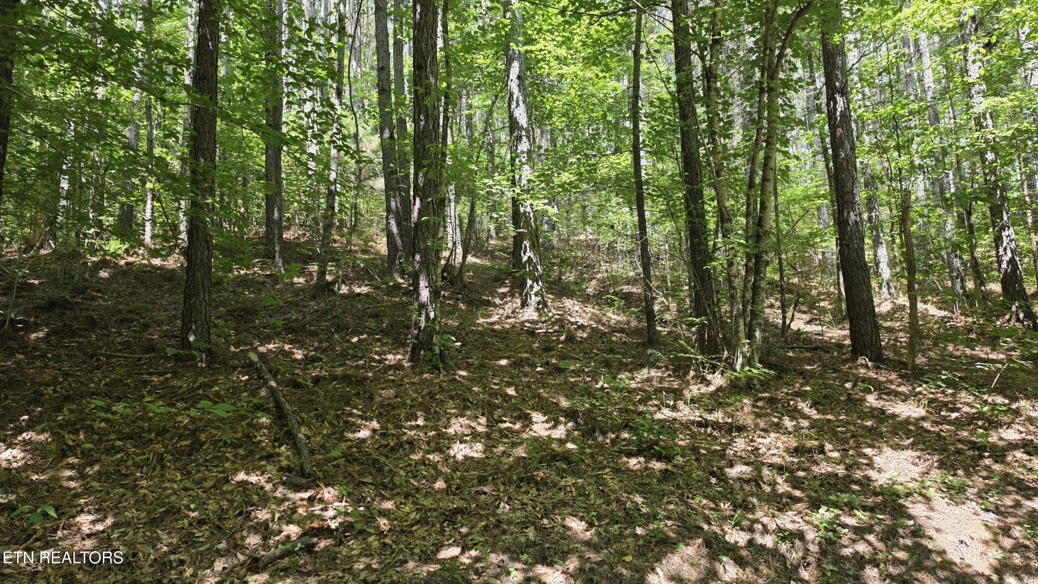 0 County Rd Property Photo 4