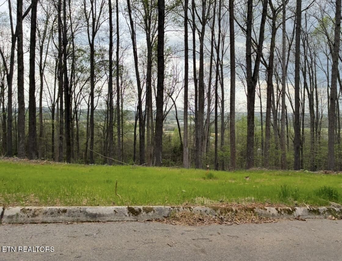 0 Lot 10 Poplar Drive Property Photo 1