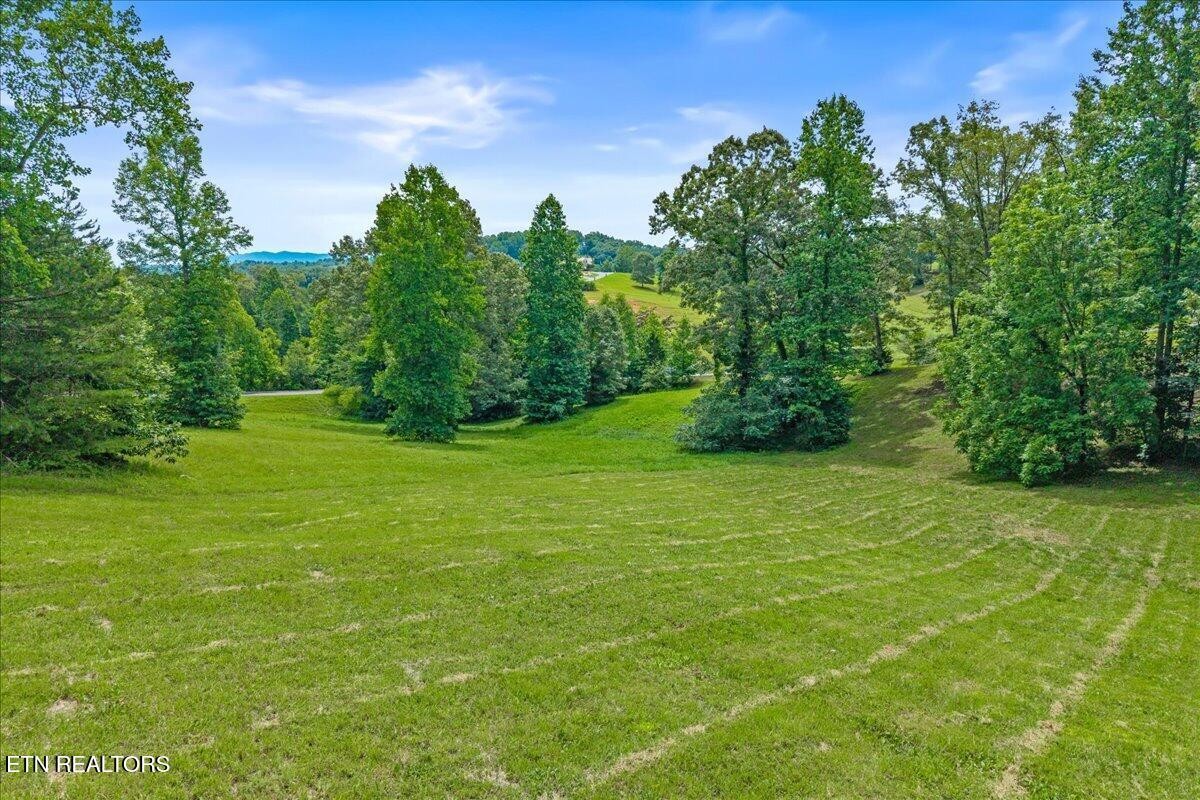 0 Springwater Run Property Photo 5