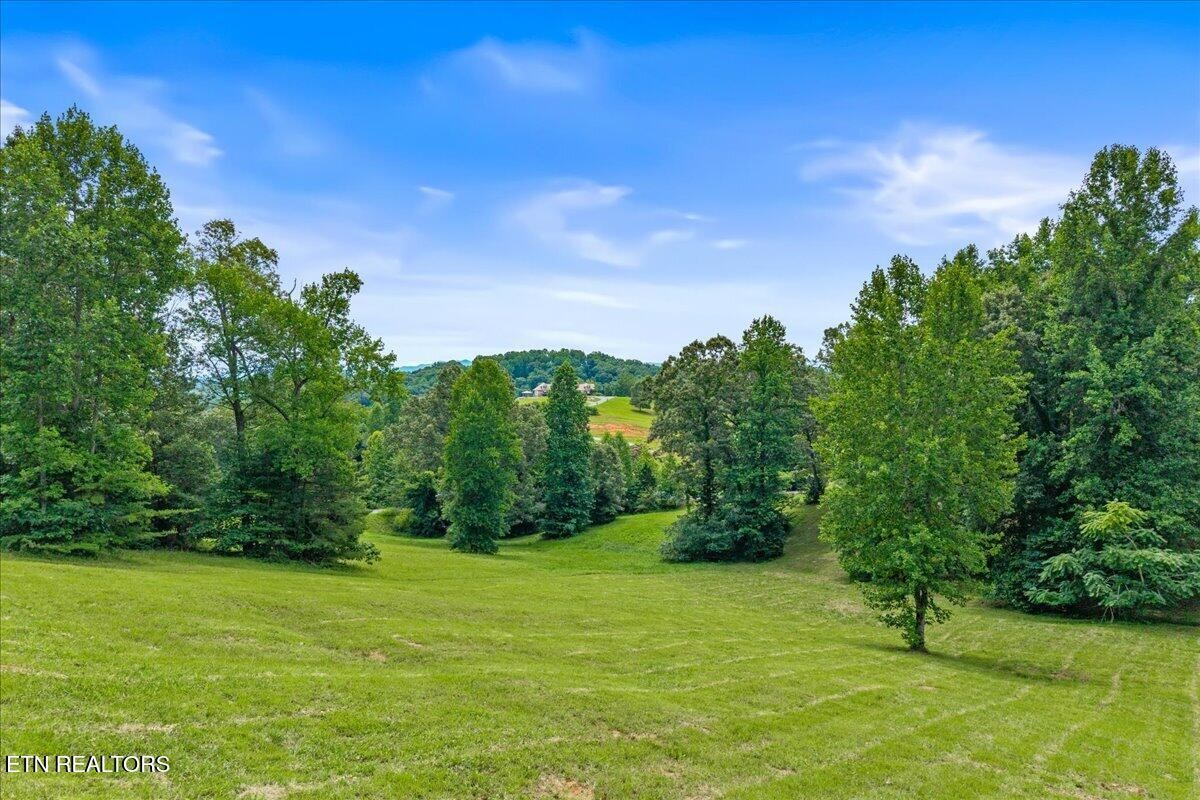 0 Springwater Run Property Photo 7