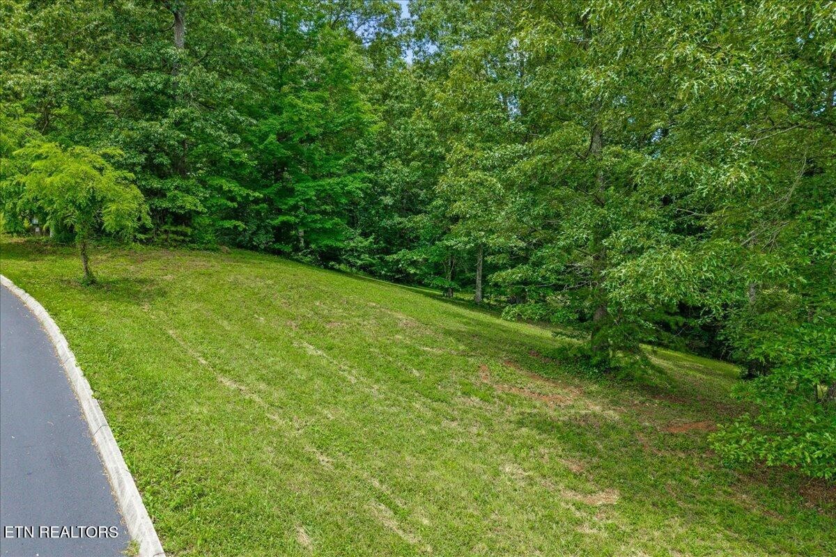 0 Springwater Run Property Photo 11