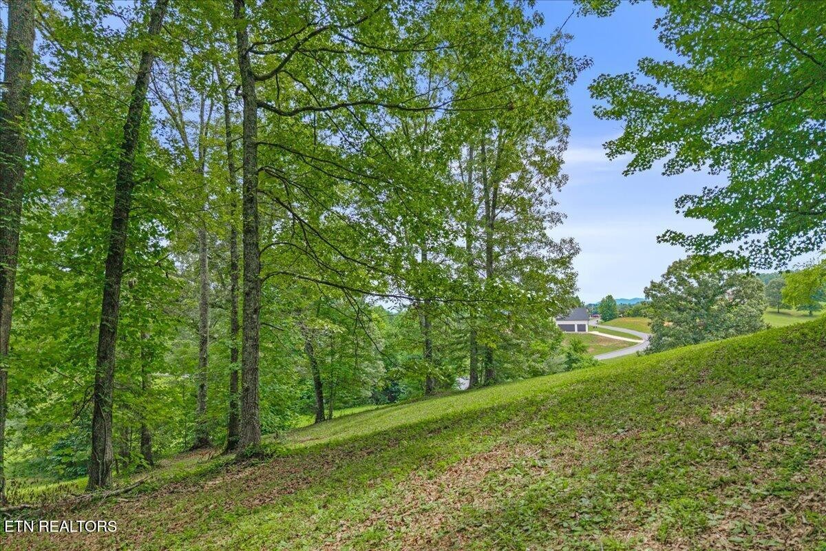 0 Springwater Run Property Photo 13