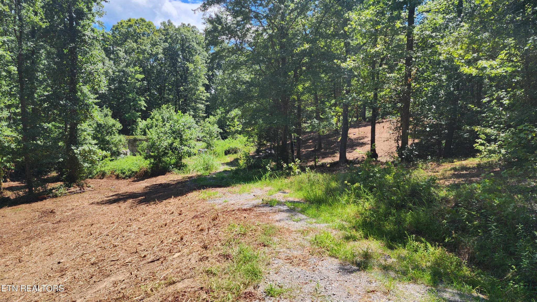 375 Goins Hill Road Property Photo 1
