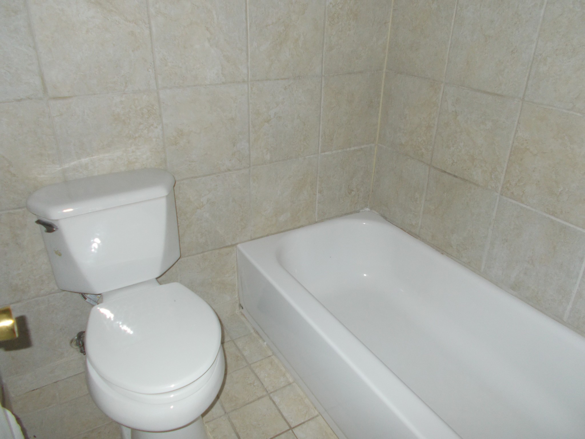 813 Rachels View Property Photo 8