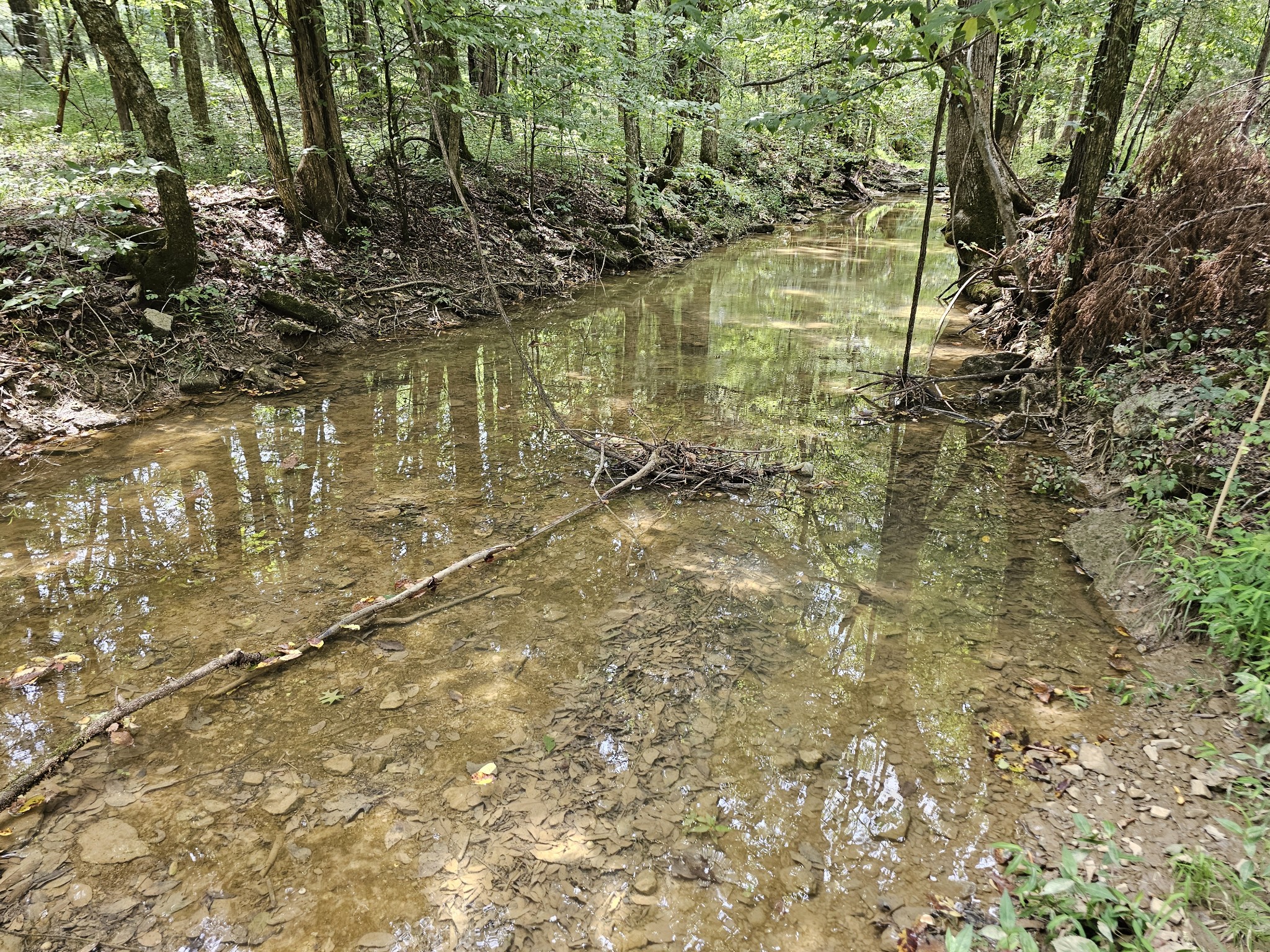 0 Whitfield Hollow Road Property Photo 1