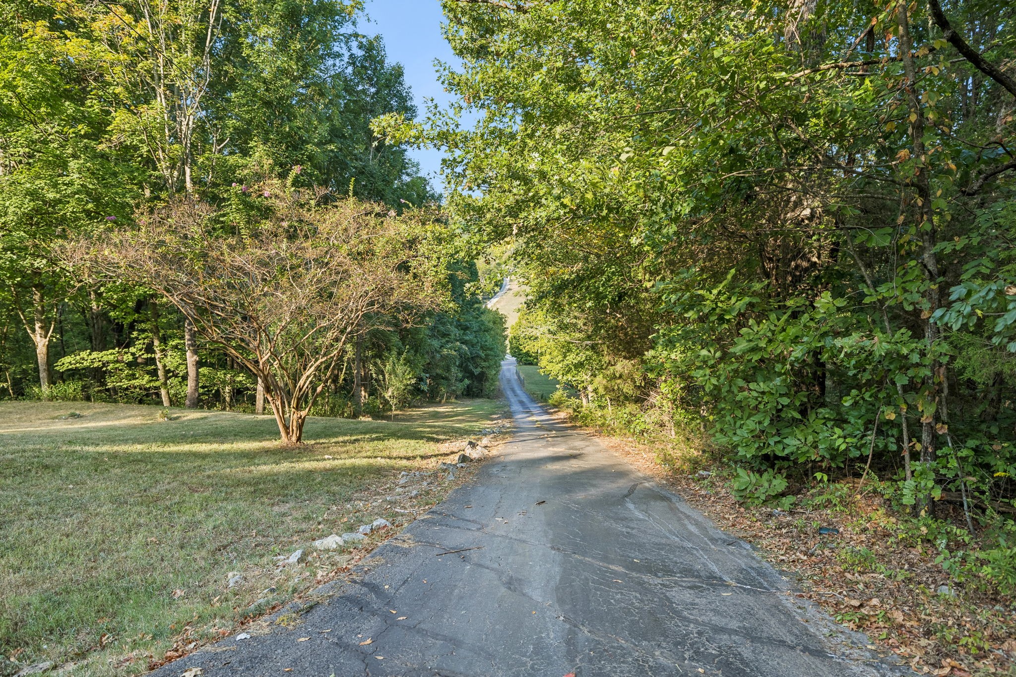 4365 Pulaski Hwy Property Photo 4