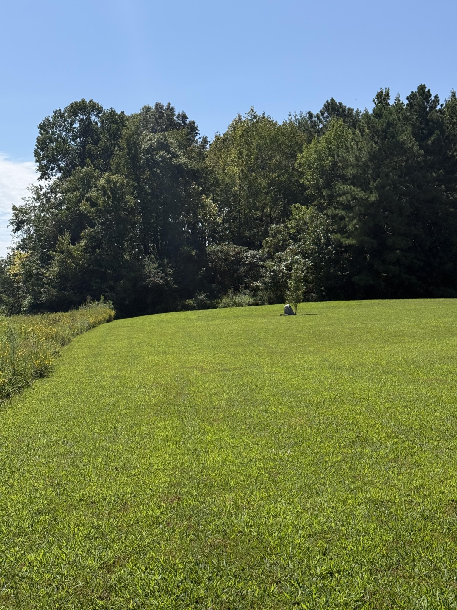 0 Hwy 77 Property Photo 3