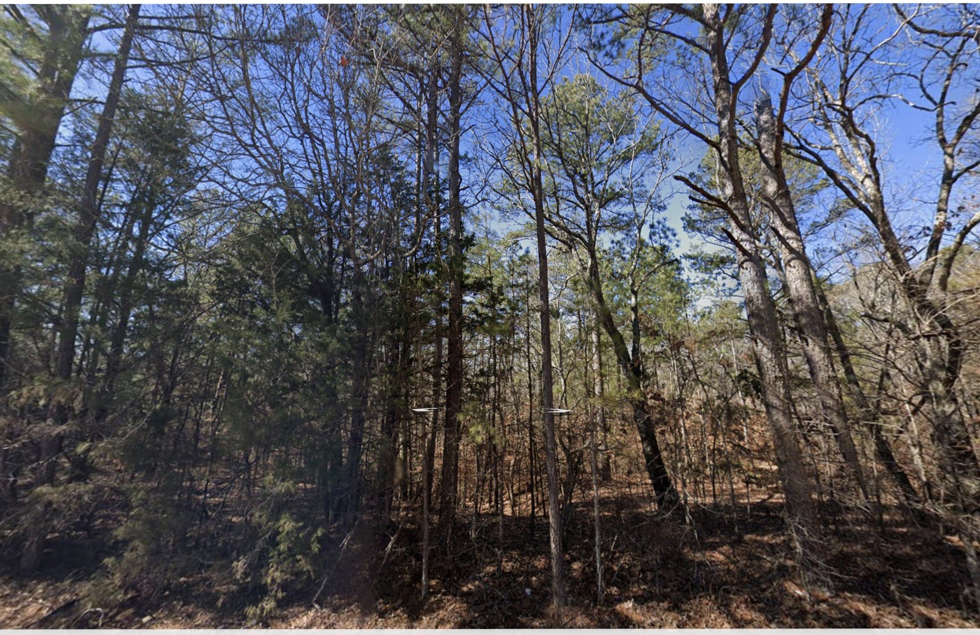 0 Bethesda Purdy Road Property Photo 1