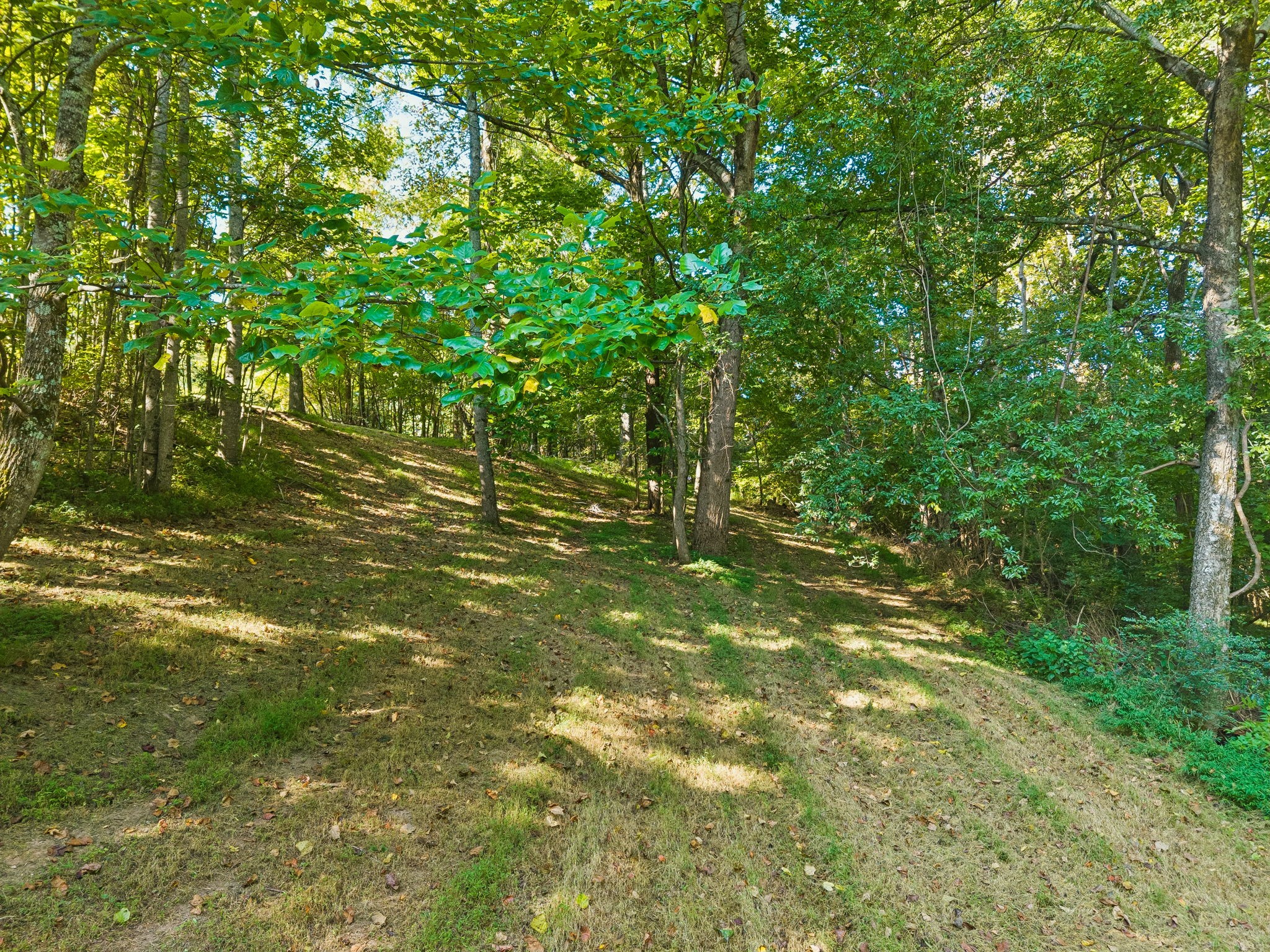 1668 Old Lewisburg Hwy Property Photo 7