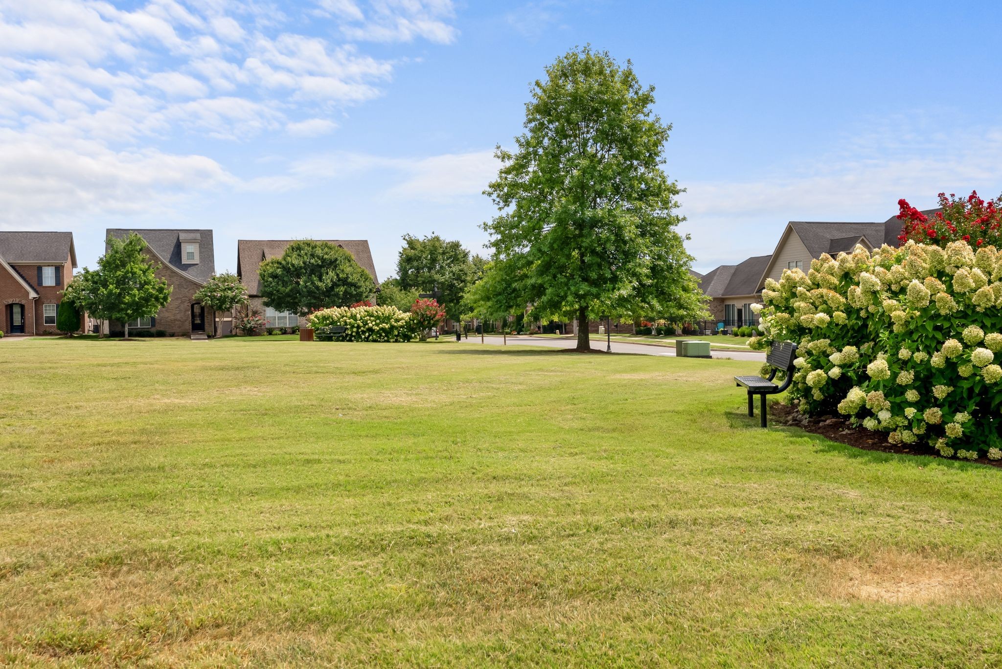1068 Ambling Way Property Photo 49