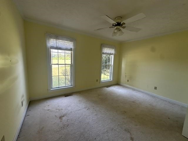 4925 State Route Hwy 225 Property Photo 15