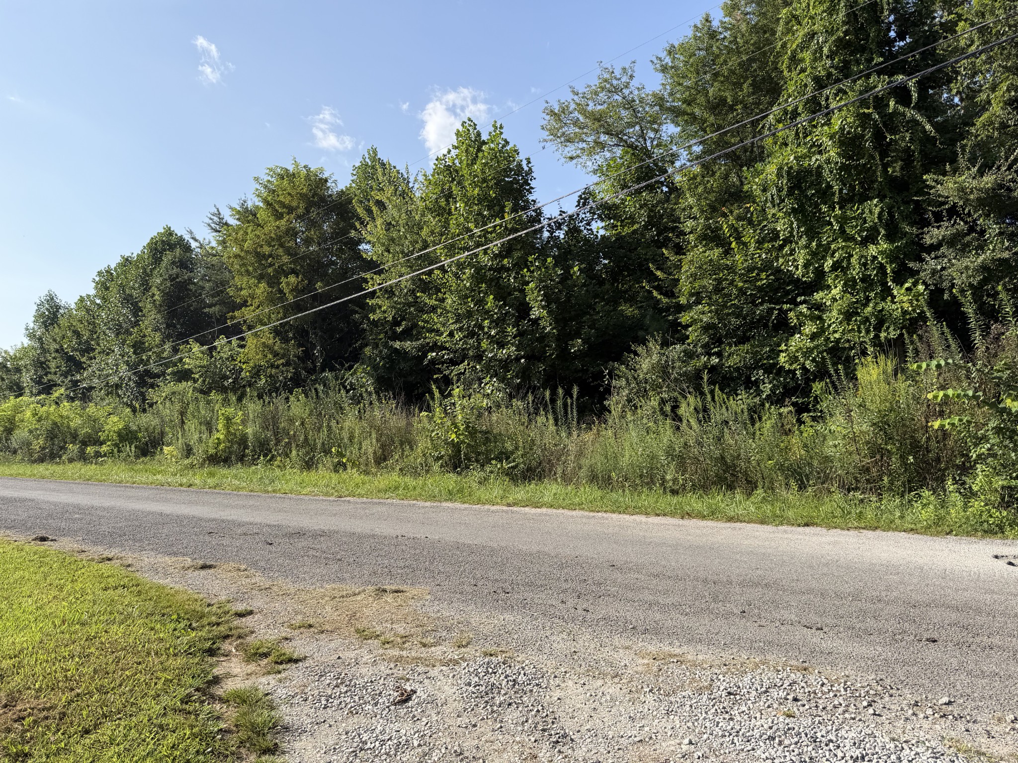 2603 Northcutts Cove Road Property Photo 4