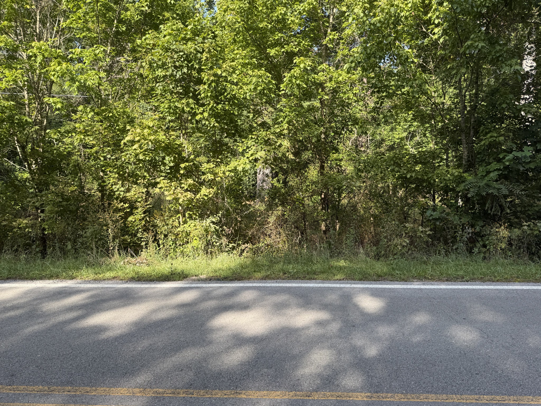 2603 Northcutts Cove Road Property Photo 6