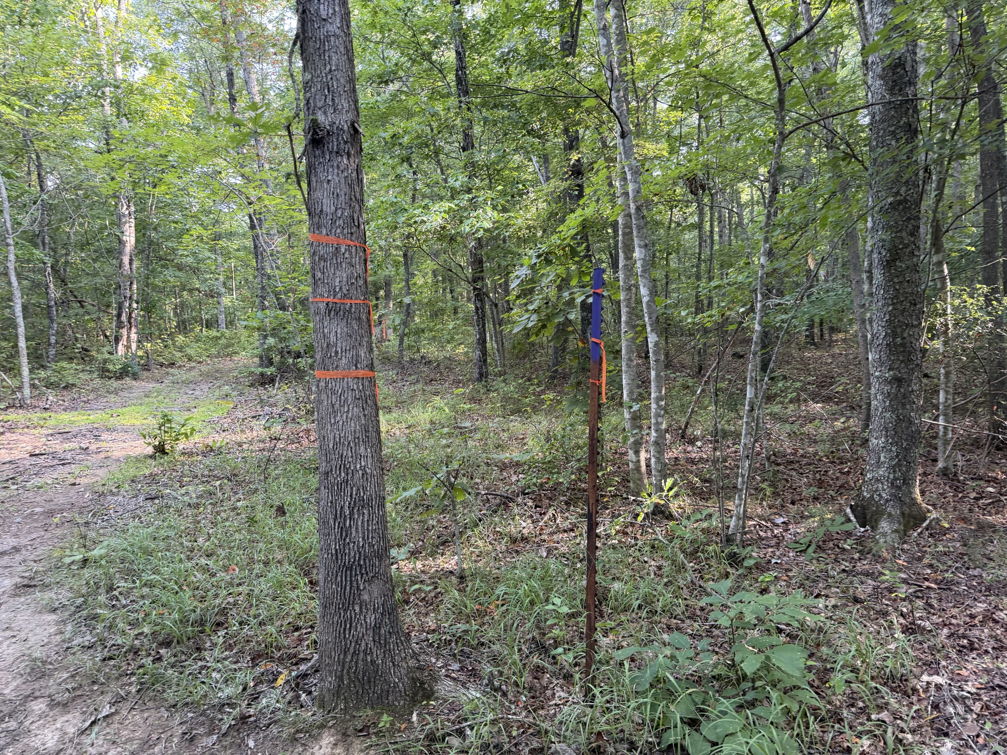 2603 Northcutts Cove Road Property Photo 8