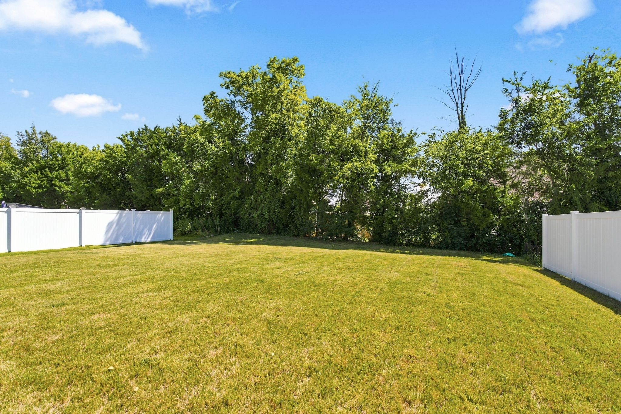 5409 Walnut Chase Dr Property Photo 3