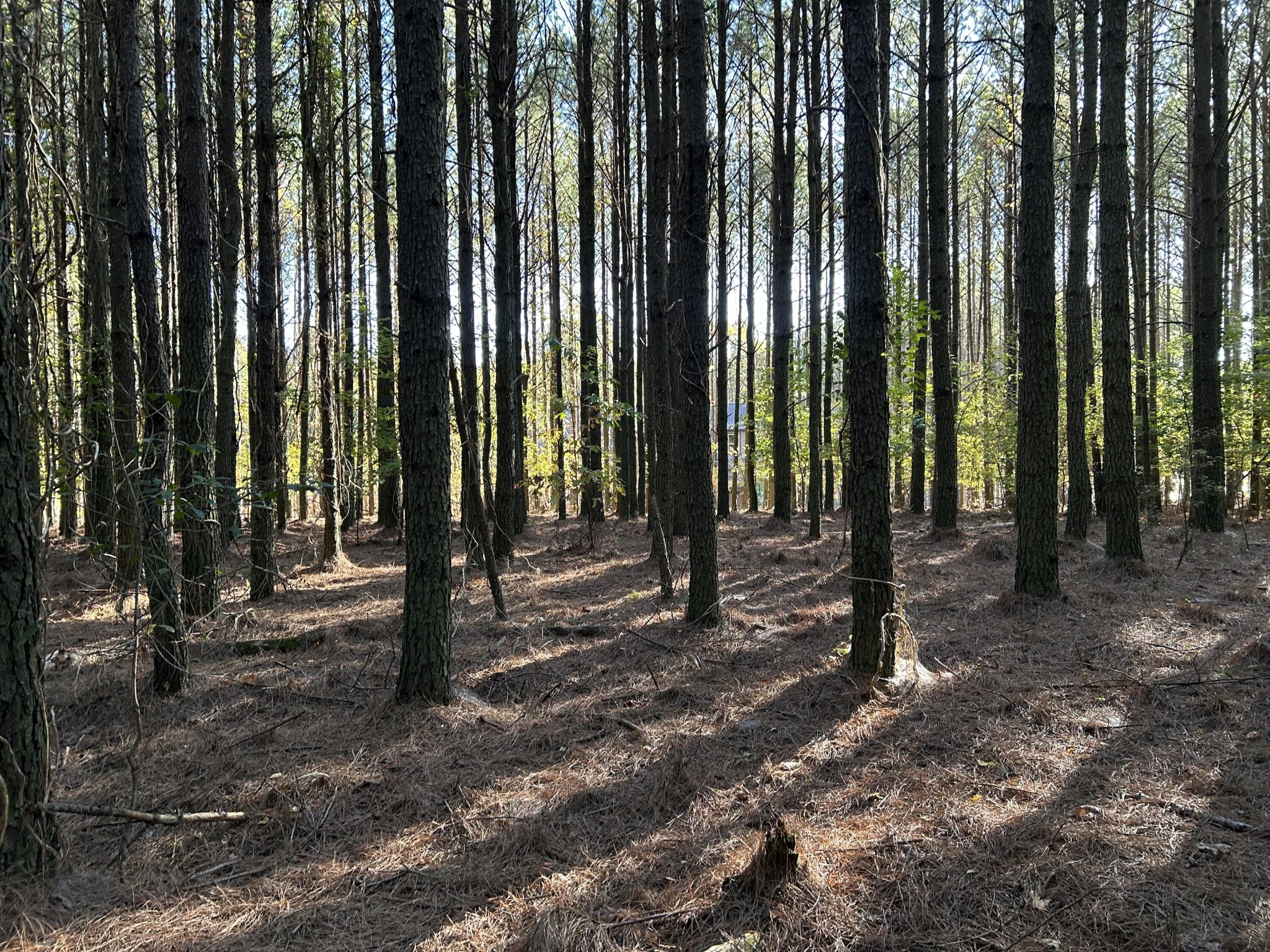 2035 Crockett Pointe Property Photo 12