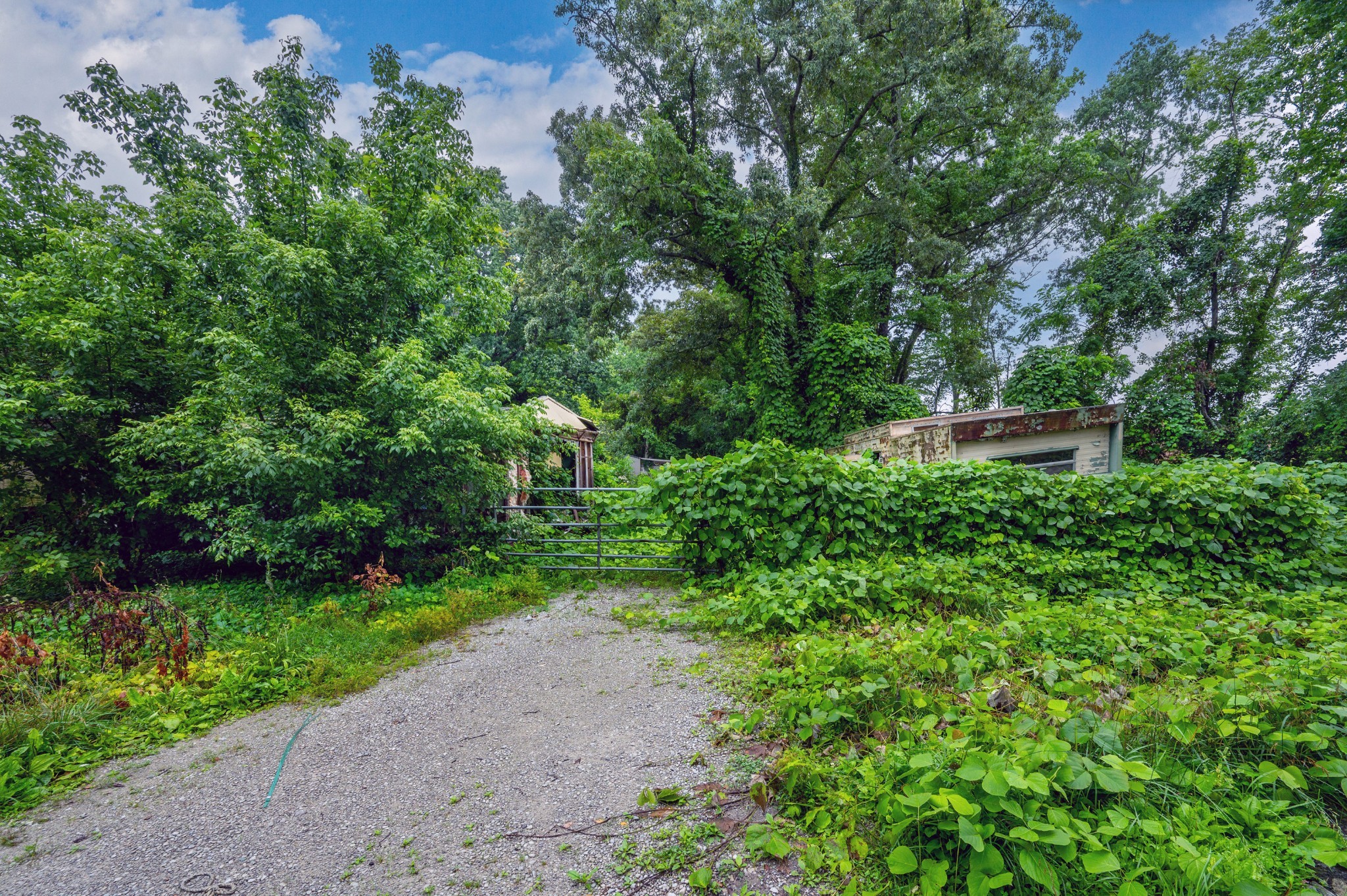 491 Joe Hickerson Rd Property Photo 4