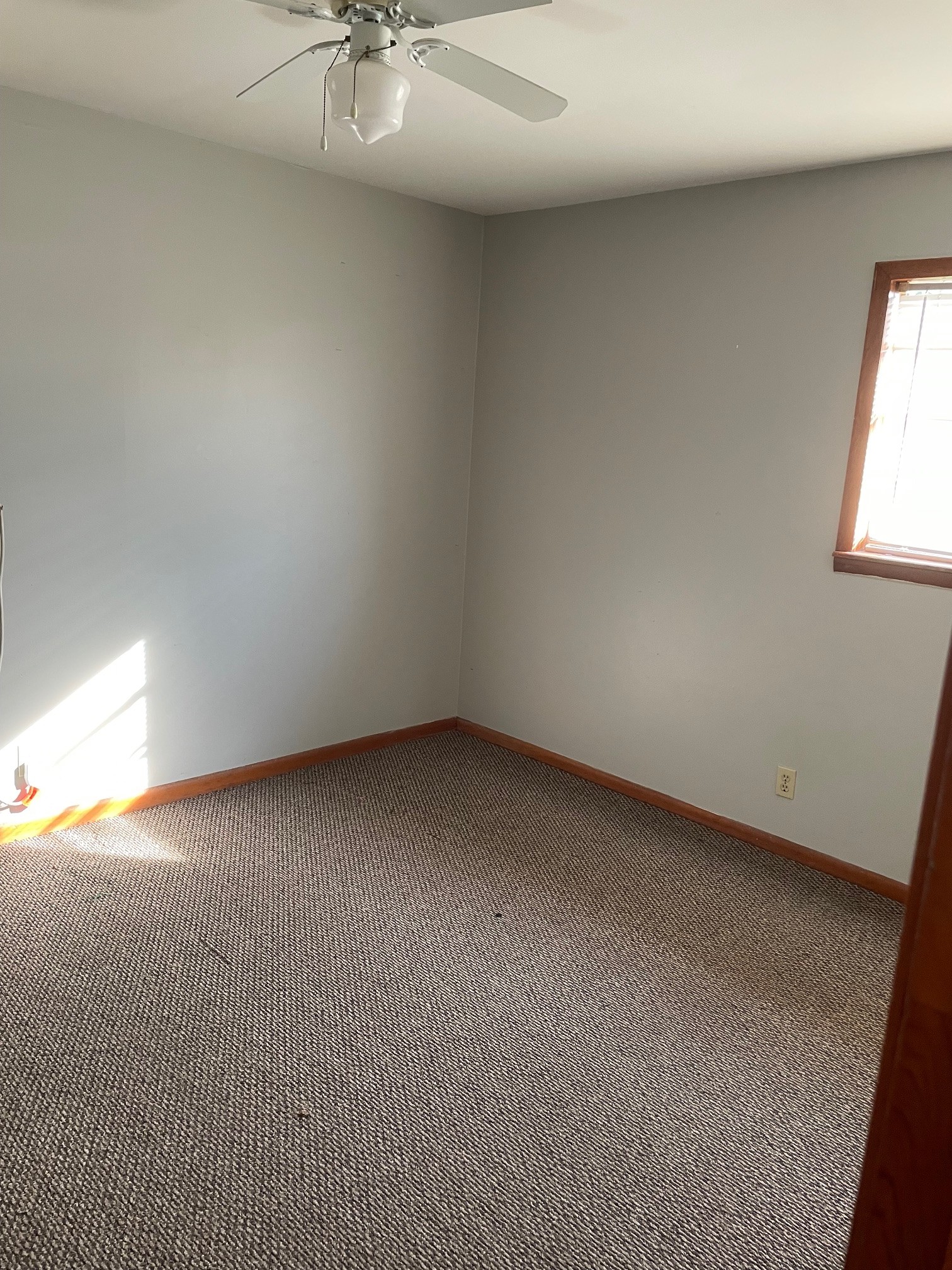 113 Edgehill Dr Property Photo 12
