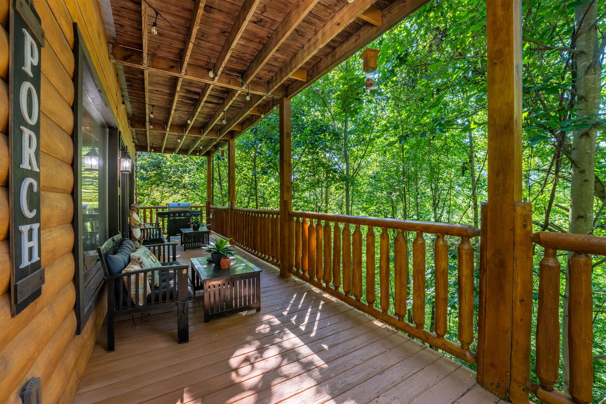 2184 Spence Mountain Loop Property Photo 19