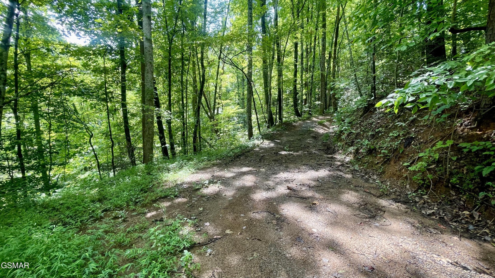 1304 Balsam Circle Property Photo 1