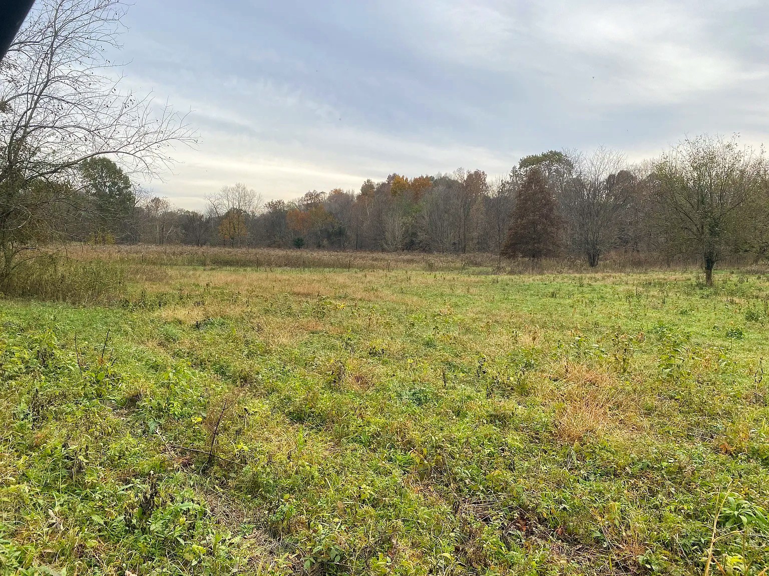 0 Empson Road Property Photo 22